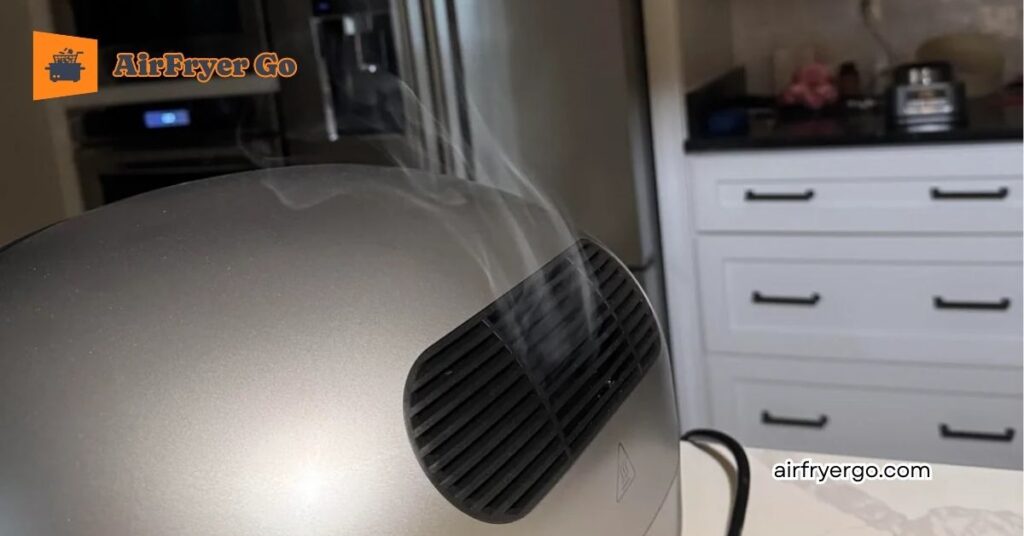 Why Is My Air Fryer Smoking (White vs. Blue vs. Black Smoke)